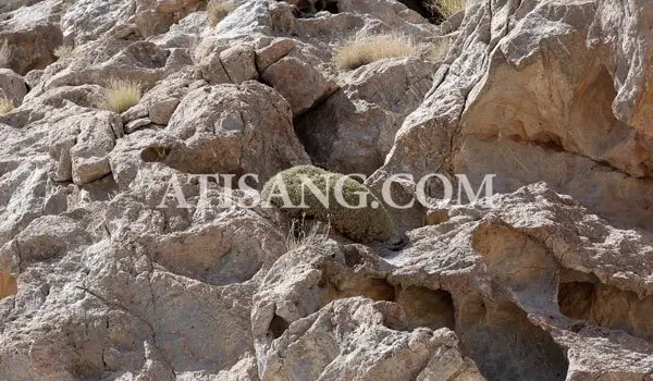اکتشاف معدن سنگ ساختمانی